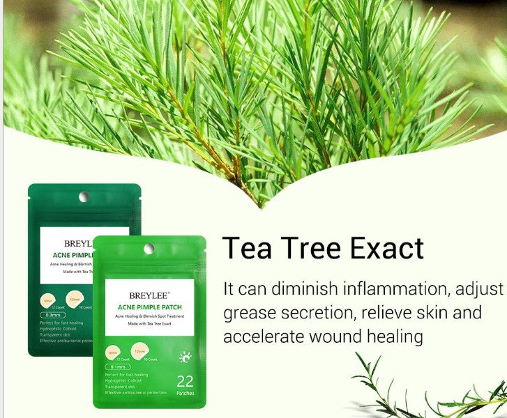 🌿 Tea Tree Invisible Acne Patch – Ultra-Thin, Fast Healing & Mark-Fading Care