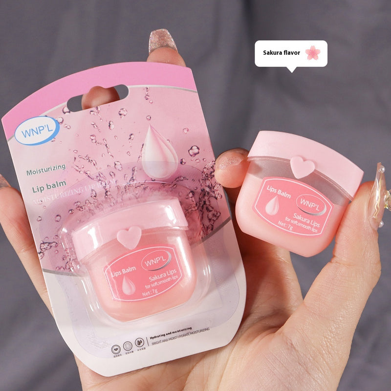 Essential Lip Care Set – Deep Hydration for All
