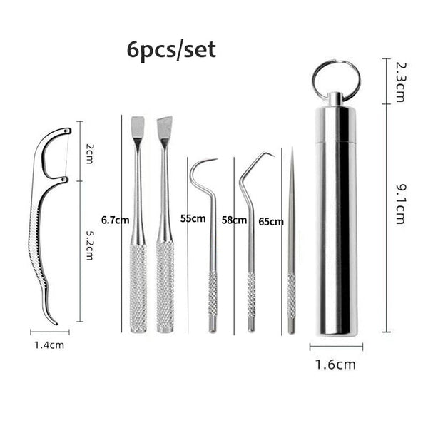 Stainless Steel Toothpick Set Tooth Flossing