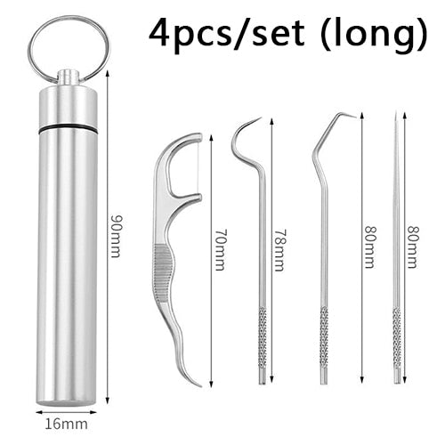 Stainless Steel Toothpick Set Tooth Flossing