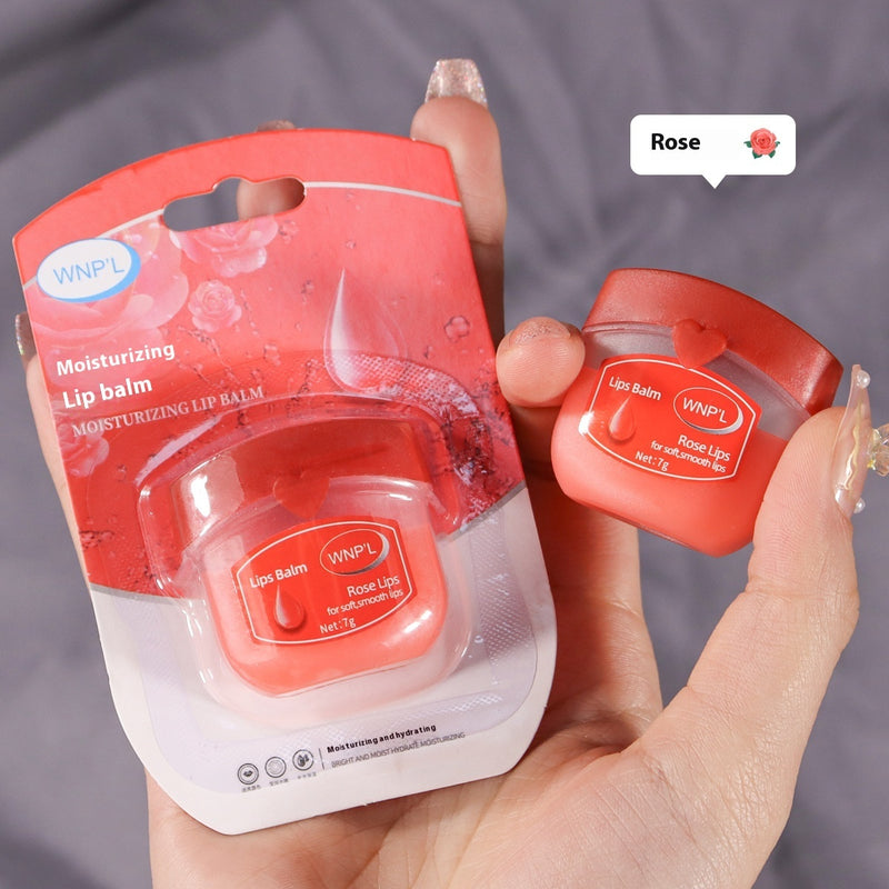 Essential Lip Care Set – Deep Hydration for All
